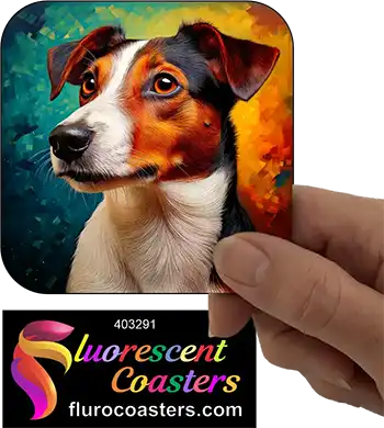 Jack Russell Terrier Dog 3