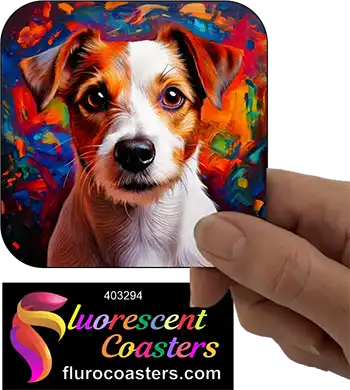 Jack Russell Terrier Dog 4