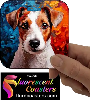 Jack Russell Terrier Dog 5