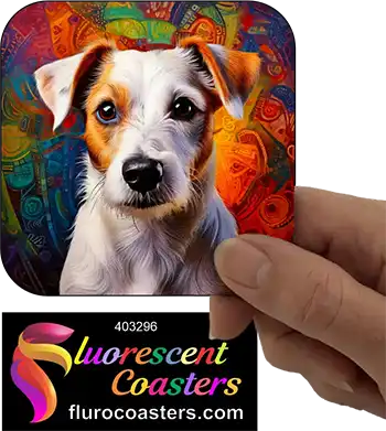 Jack Russell Terrier Dog 6