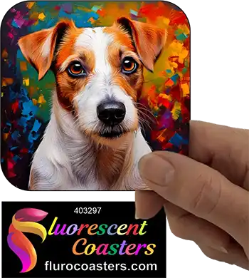 Jack Russell Terrier Dog 7