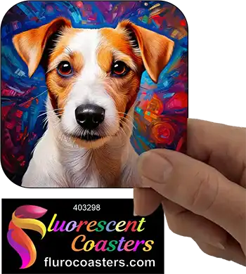 Jack Russell Terrier Dog 8