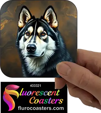 Alaskan Malamute Dog 12