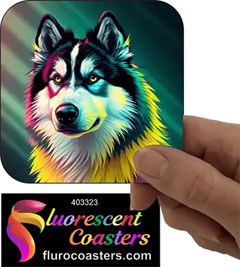 Alaskan Malamute Dog 14