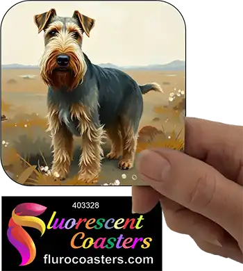 Airdale Terrier Dog 5