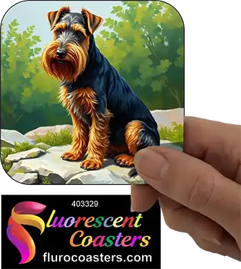 Airdale Terrier Dog 6