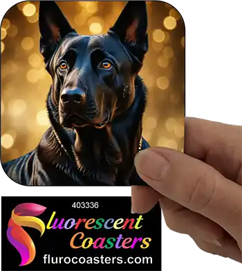 Belgian Malinois Black Dog 4