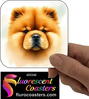 Chow Chow Dog 6