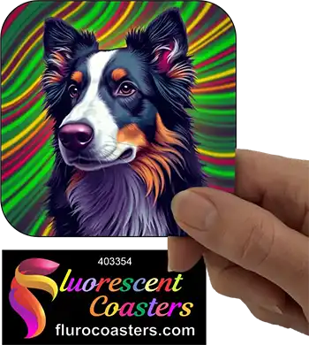 Australian Shepherd Dog 6