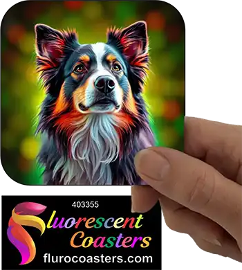 Australian Shepherd Dog 7