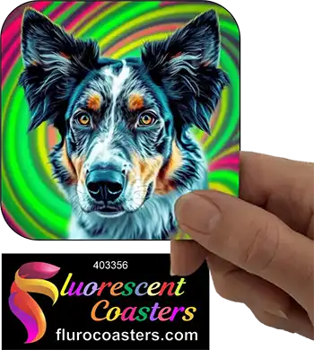 Australian Shepherd Dog 8