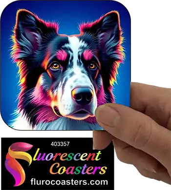 Australian Shepherd Dog 9