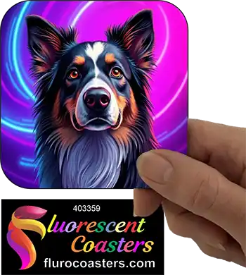 Australian Shepherd Dog 11