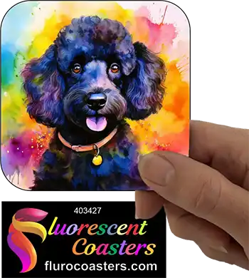 Poodle Dog Black 3