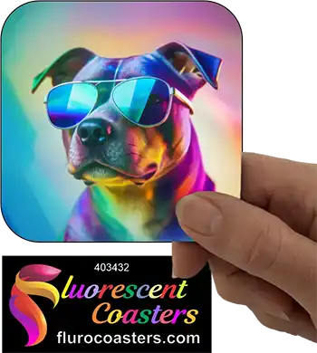 Staffordshire Terrier With Sunglasses 2