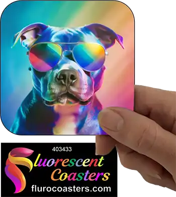 Staffordshire Terrier With Sunglasses 3