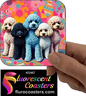 Coloured Poodles