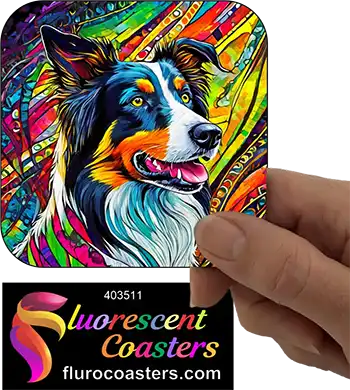 Border Collie Abstract 1