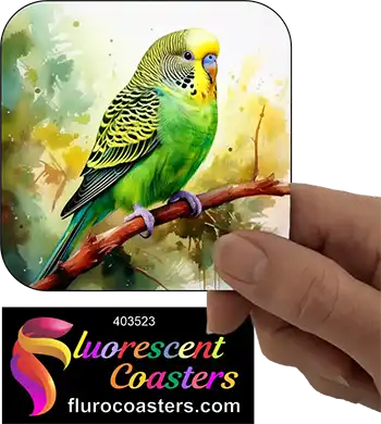 Green Budgie Buggerigar 1