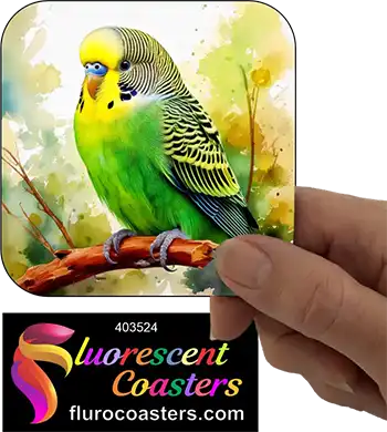 Green Budgie Buggerigar 2