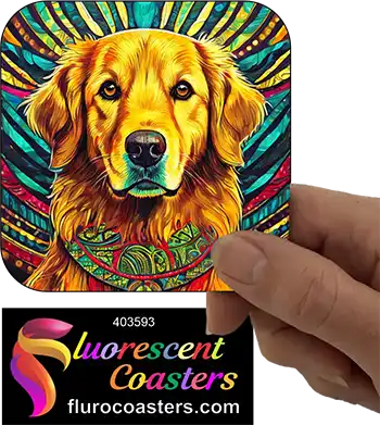 Golden Retriever 3