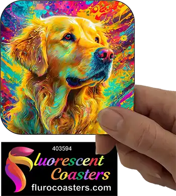 Golden Retriever 4