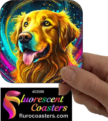 Golden Retriever 6