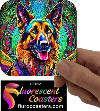  German Shepherd Dog 9