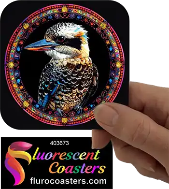 Kookaburra Frame 2