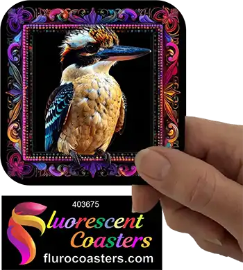 Kookaburra Frame 4