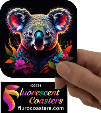 Koala Glow 1