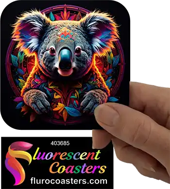 Koala Glow 2