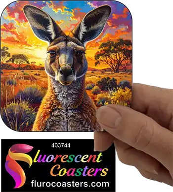 Kangaroo Outback 1